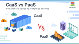 CaaS vs PaaS - Which is a better Solution?