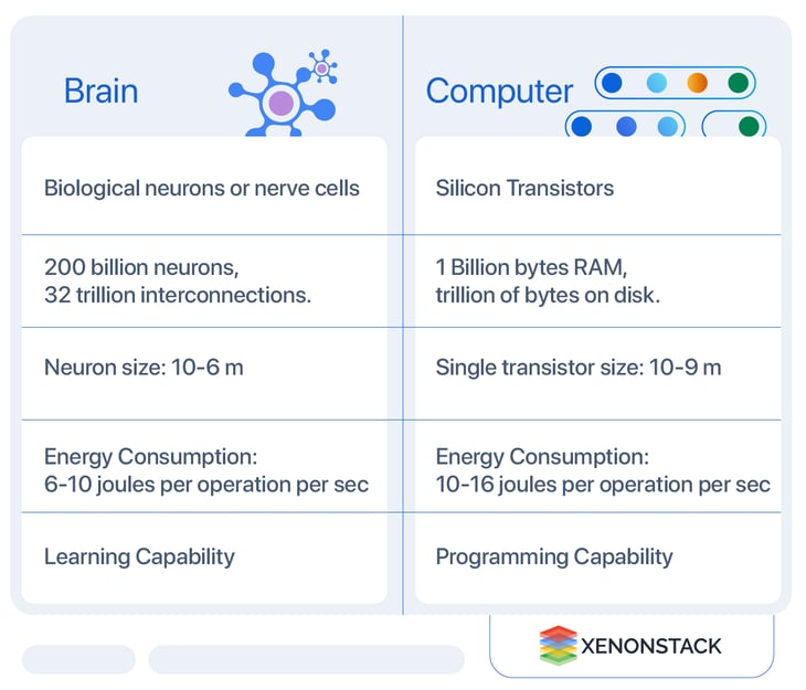 difference-between-brain-and-computer