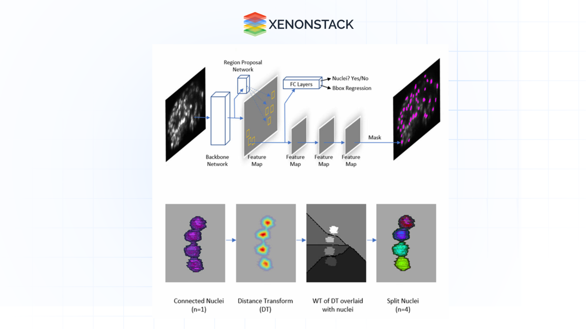 AI-Enhanced Analysis of Microscopic and Cellular Images