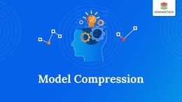 Model Compression