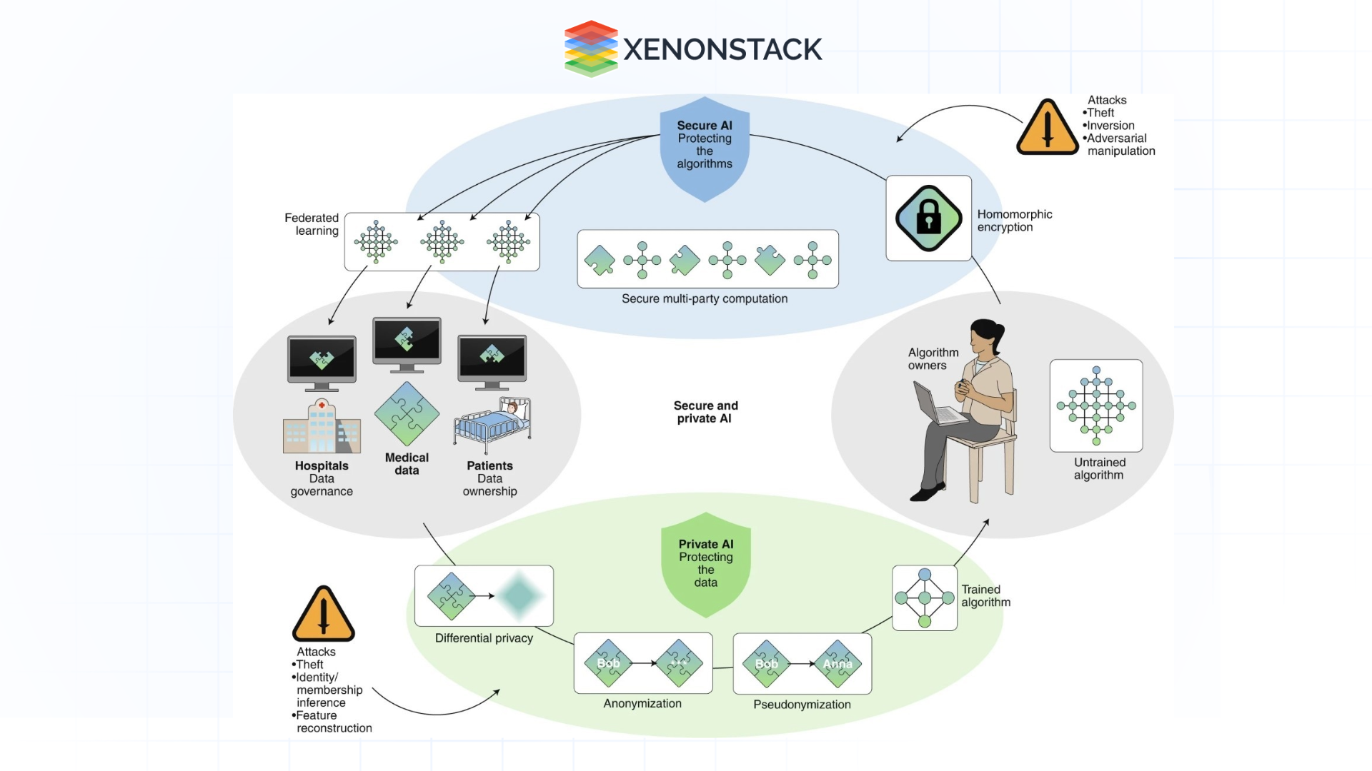 schematic overview of the relationships and interactions 