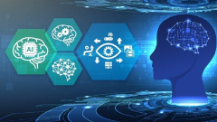 visual-intelligence-and-perception