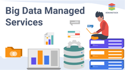 Everything that you need to know about Big Data Managed Services