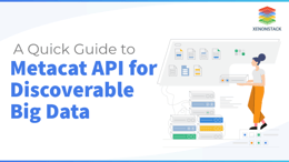 Overview of Metacat API for Discovering Big Data
