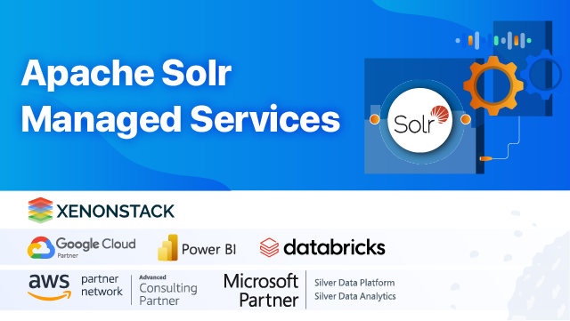 Apache Solr Managed Services and Consulting Solutions - XenonStack