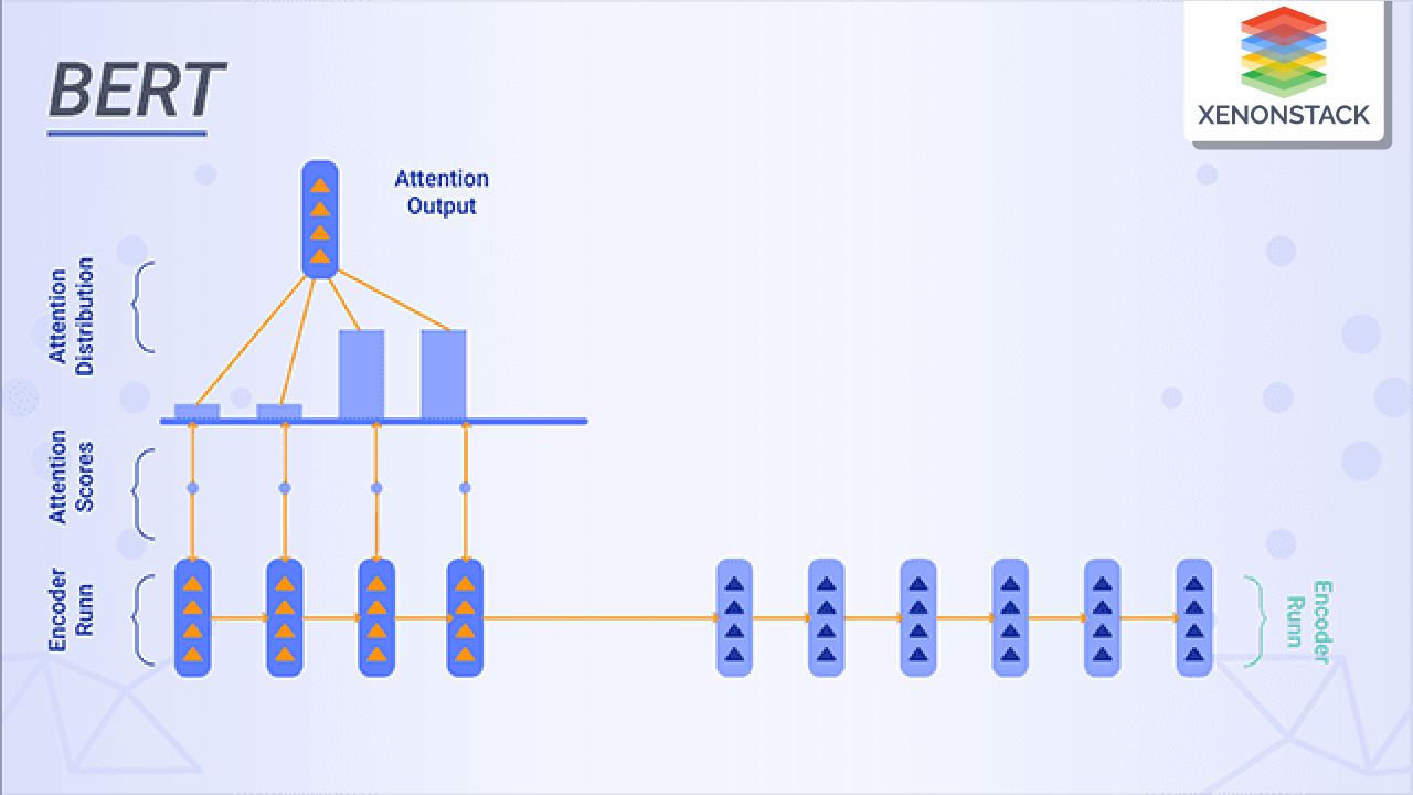 What are the Bidirectional Encoder Representations from Transformers?