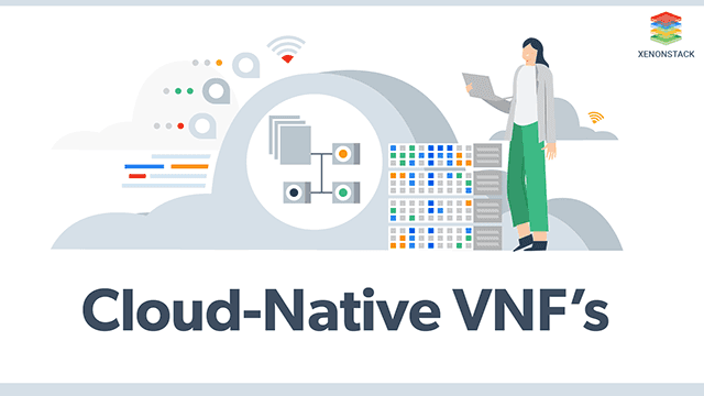 Virtual Network Functions (VNFs) Architecture and Components