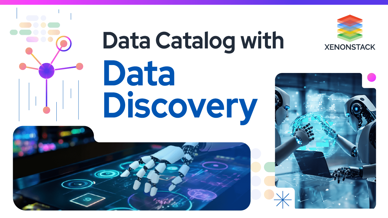 Compherending Data Catalog with Data Discovery