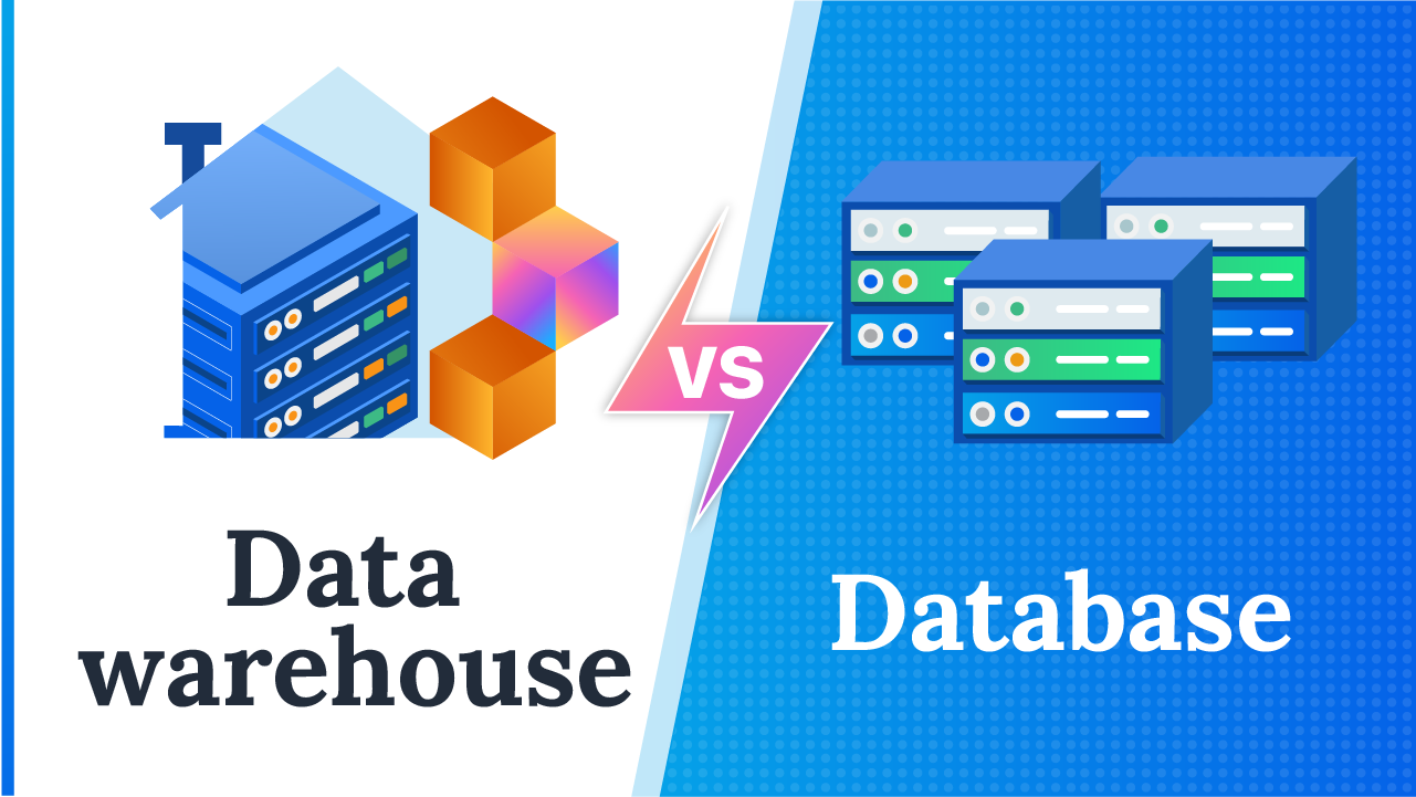 Data Warehouse vs. Data Database