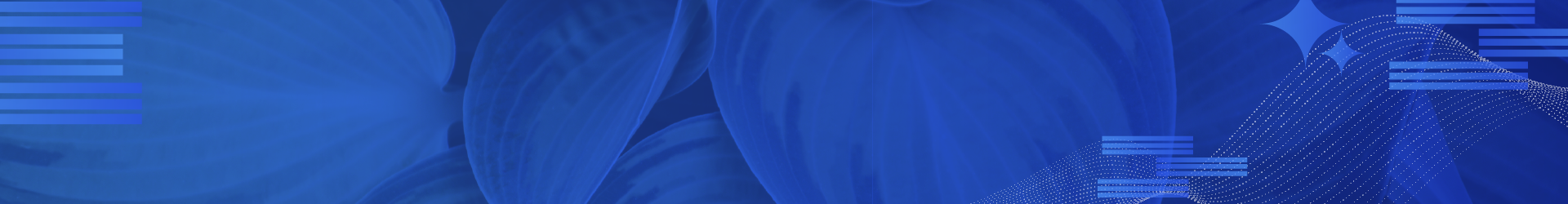 banner-image