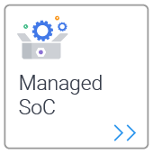 Managed Soc 