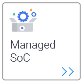 Managed Soc