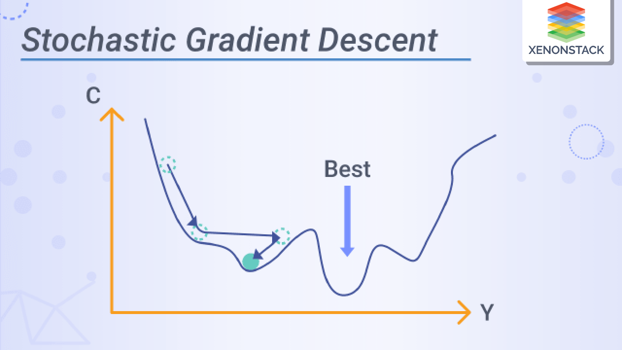 Brief of the Stochastic Gradient Descent