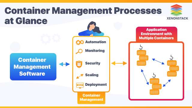 Container Management and the Related Platforms | Ultimate Guide