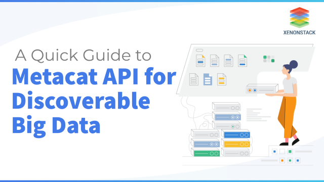 Overview of Metacat API for Discovering Big Data