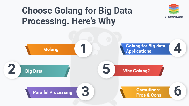 Why Golang for Big Data and Parallel Processing Applications?